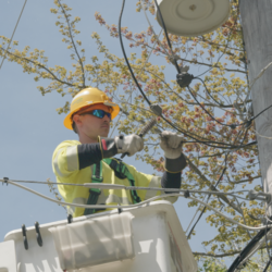 consumers energy lineworker fixing branch